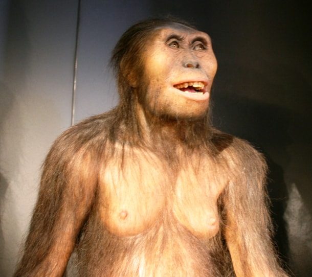 hominid