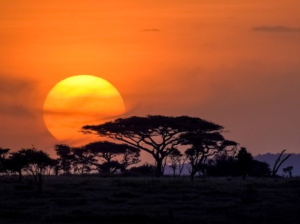 sunset in Africa