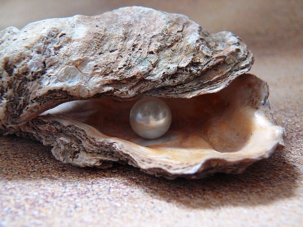 saltwater pearl