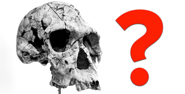 A skull with a question mark
