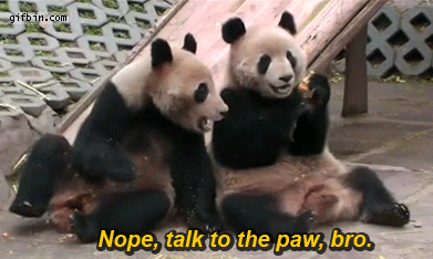 panda paw