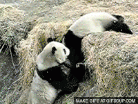 panda push