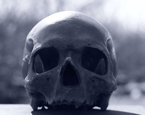 Human-Face-Head-Skull-Bones-Skull-And-Crossbones-716488