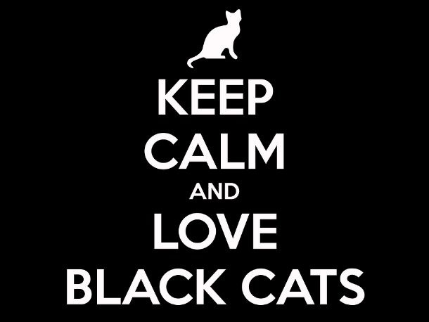 Black-Cat-Keep-Calm-Cat-Black-Cat-Appreciation-Day-953219