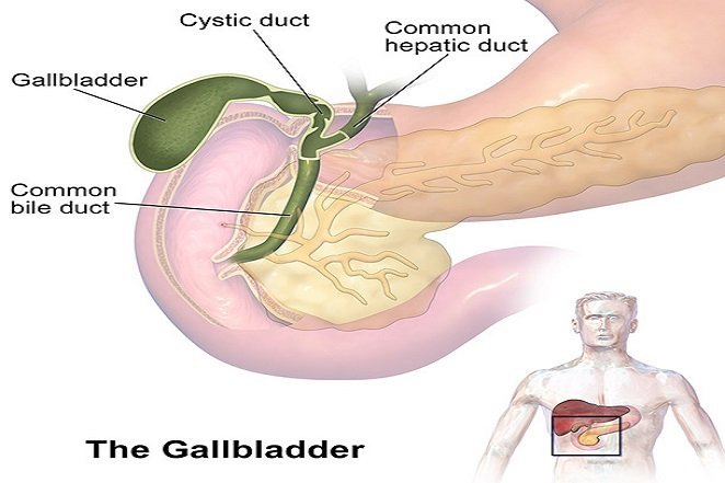 gallbaldder
