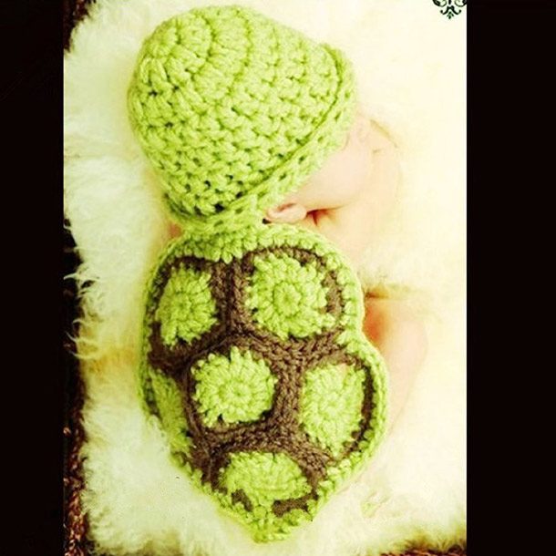 newborn turtle
