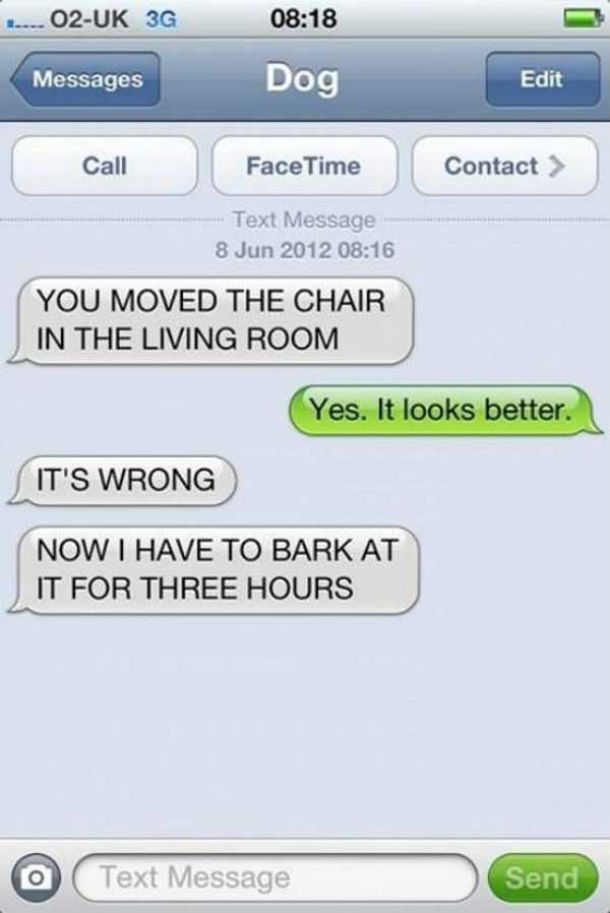 dog text bark at chair