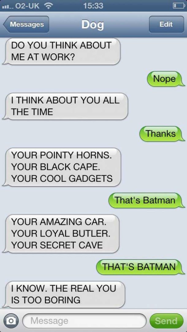dog text batman