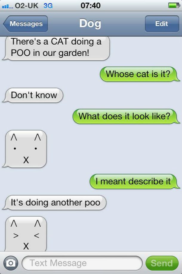dog text cat going poo