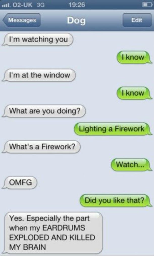 dog text firework