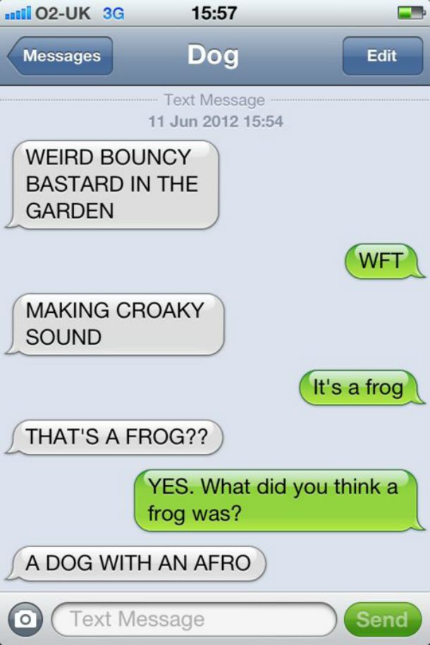 dog text frog