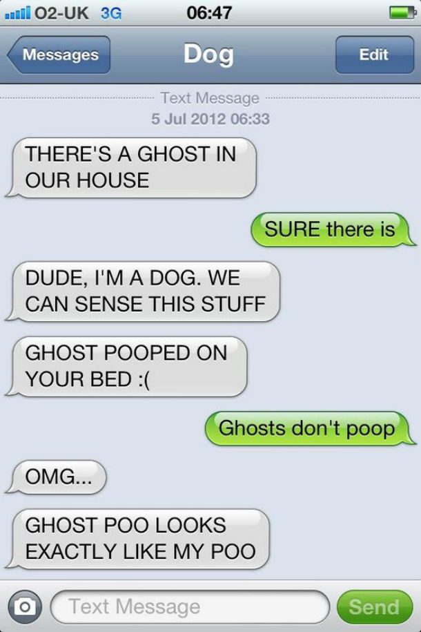dog text ghost poo