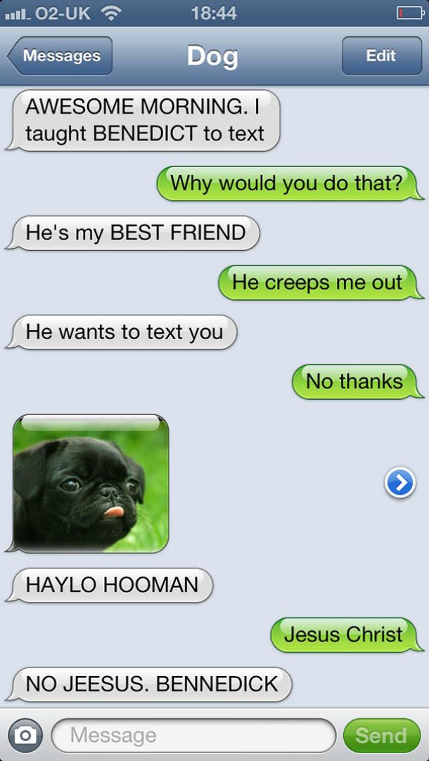 dog text haylo hooman