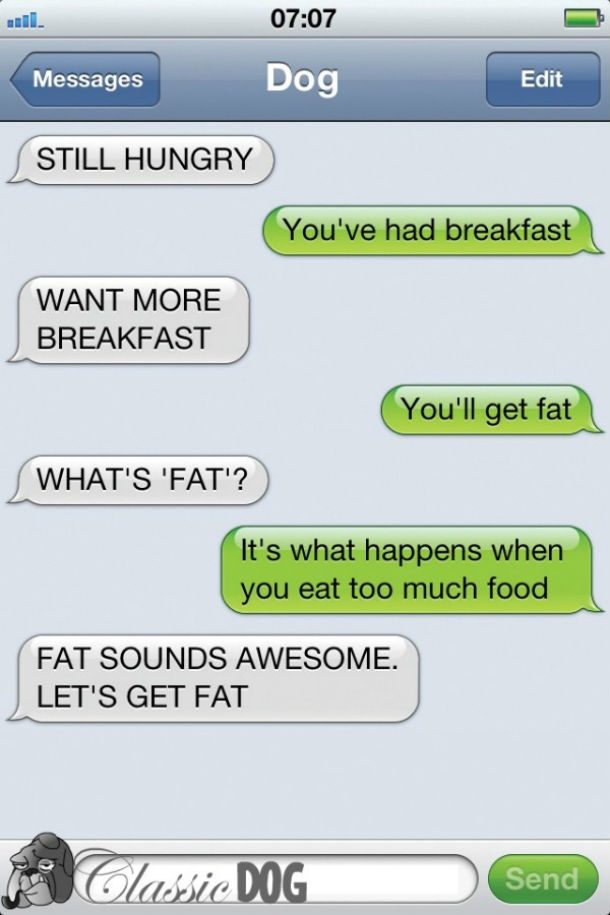 dog text lets get fat