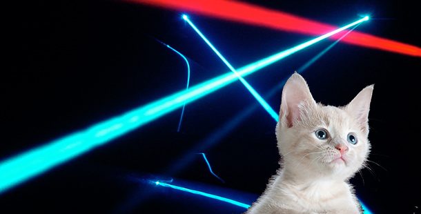 laser cat