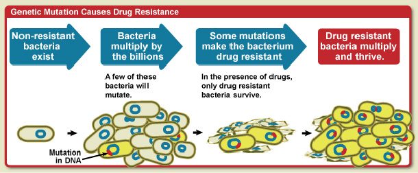 antibacteria resistance
