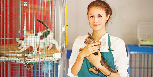 25 insane facts about animal shelters
