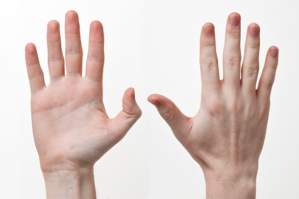 human hands