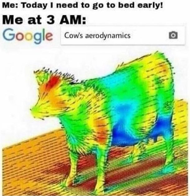 cow aerodynamics