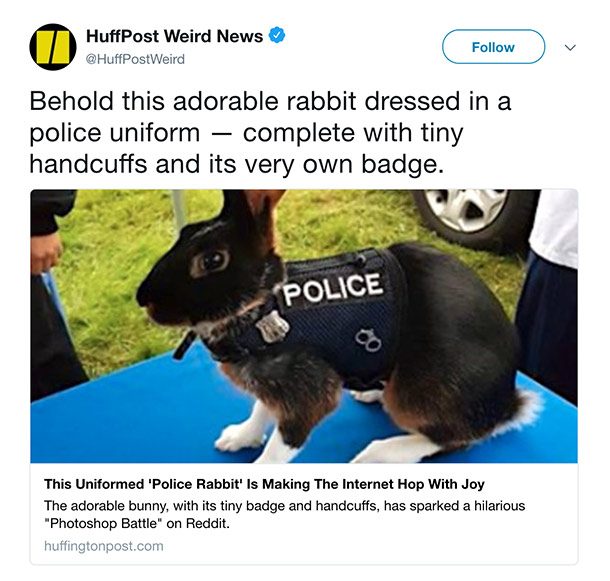 police bunny