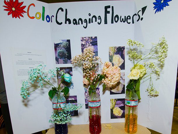 color changing flowers