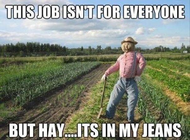 hay it's in my jeans