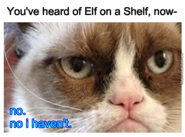 elf on the shelf angry cat no