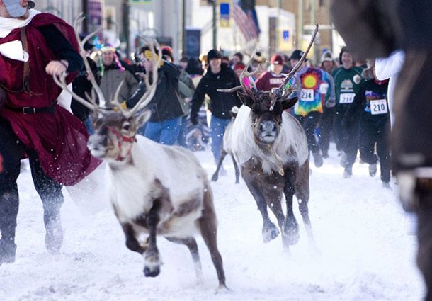 reindeer run