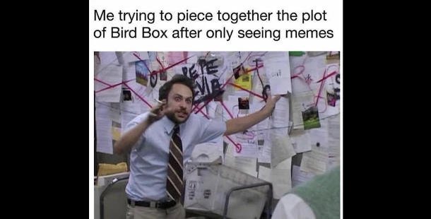 12 best bird box memes