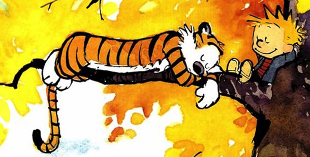 A cartoon facts about calvin and hobbes
