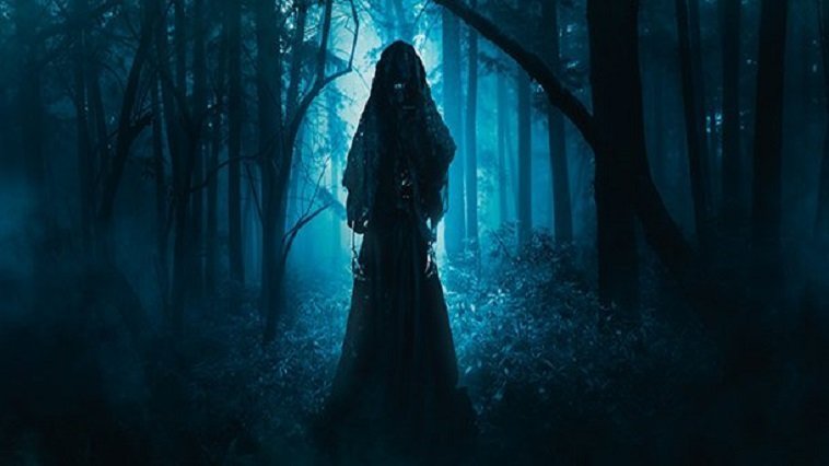 A person in a dark forest