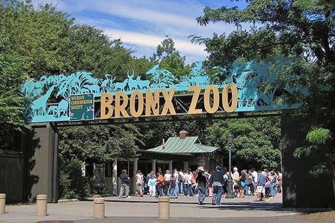 Bronx_Zoo_001