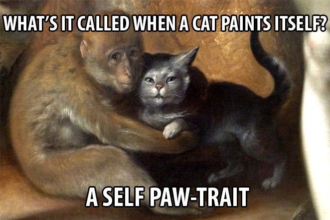 Top 25 Cat Puns And The History Of Cat Jokes On The Internet 1