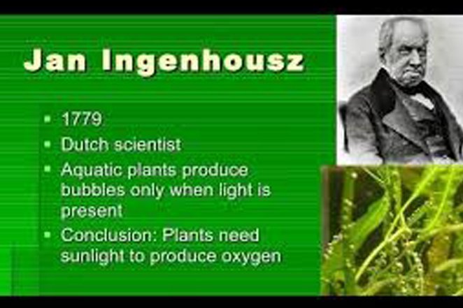 Top 25 Facts About Jan Ingenhousz 5