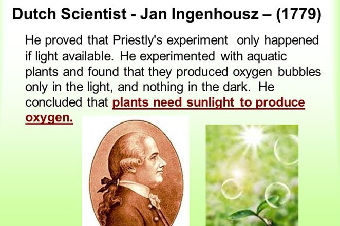 Top 25 Facts About Jan Ingenhousz 8