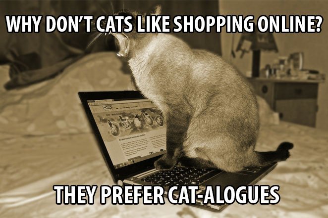 Top 25 Cat Puns And The History Of Cat Jokes On The Internet 18