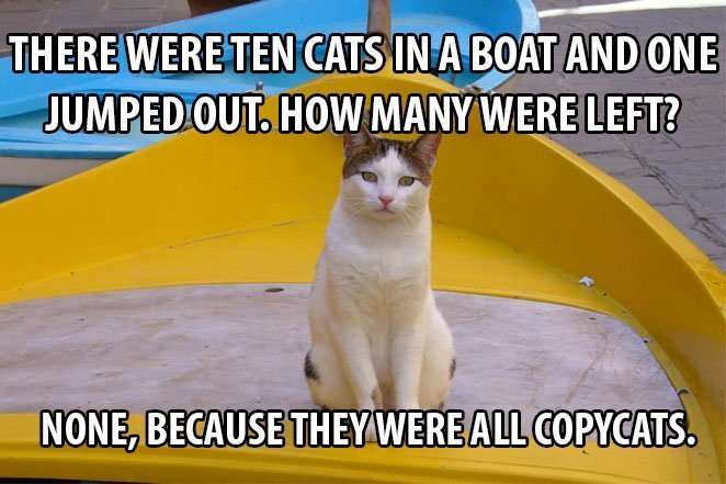 Top 25 Cat Puns And The History Of Cat Jokes On The Internet 13