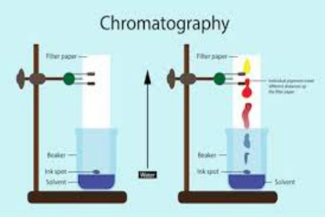 chromotography-runge6