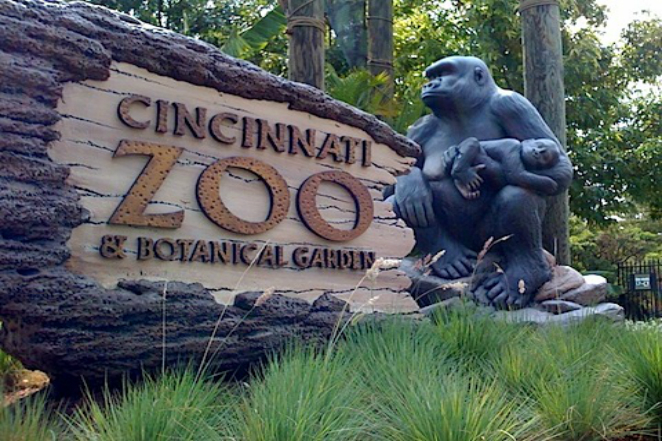 cincy-zoo