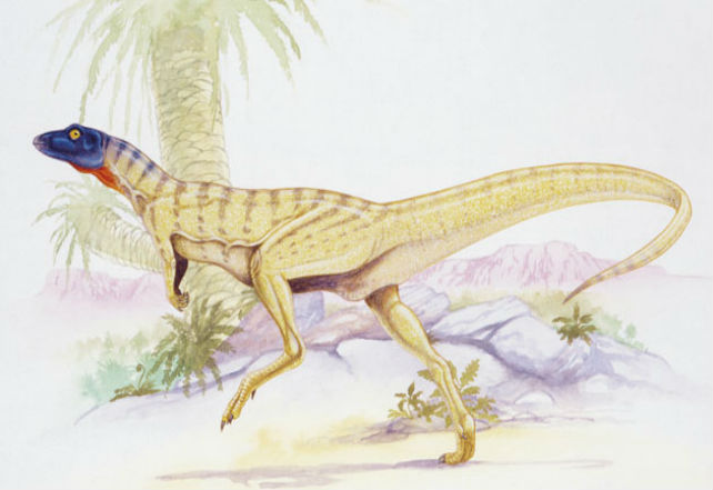 Lesothosaurus-dinosaurs-28286649-630-379