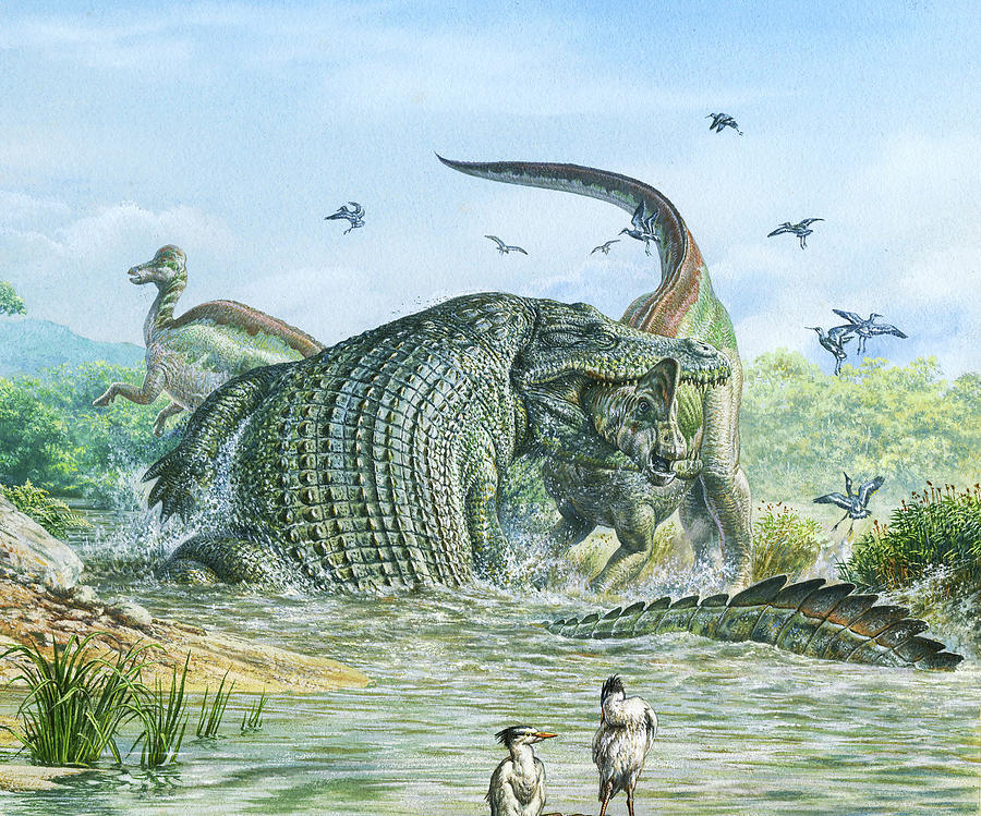 deinosuchus-reptile-attacking-a-dinosaur-john-sibbick--science-photo-library