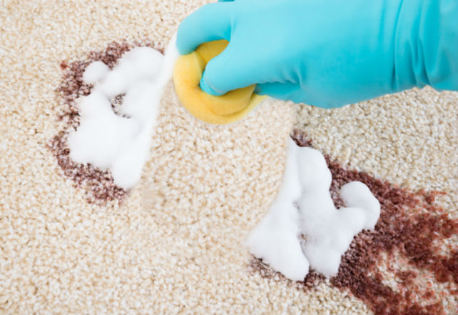 how-to-clean-your-carpet