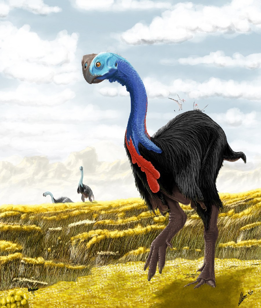 Gigantoraptor_erlianensis_by_TopGon_4905
