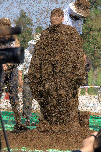 heaviest-mantle-of-bees-portrait_tcm25-413906