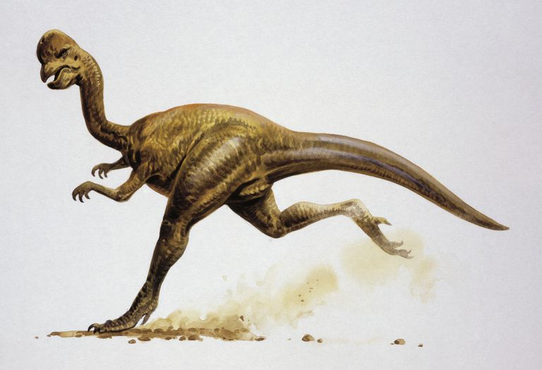 illustration-representing-oviraptor-82828273-5a2a9d6c22fa3a00371aac8a