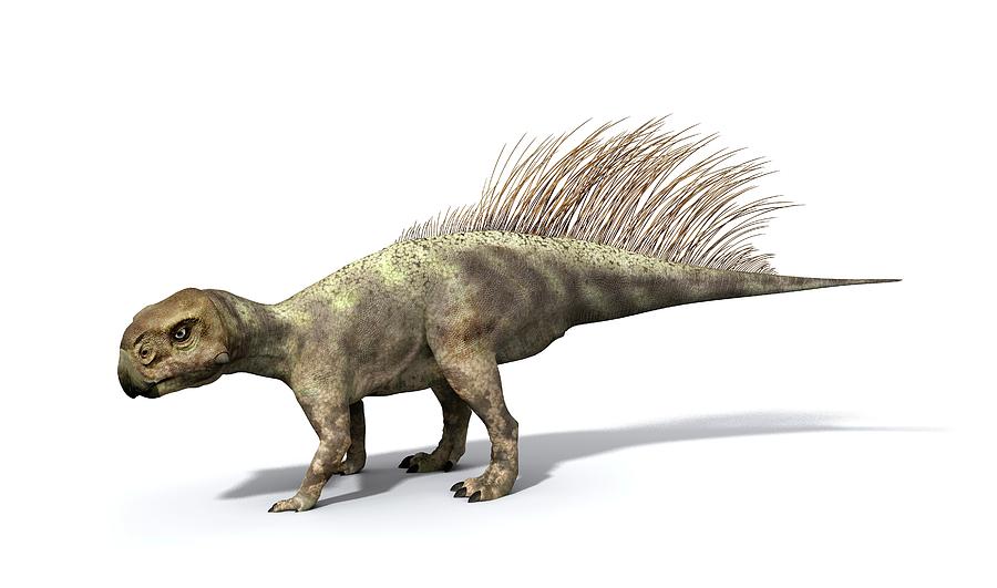 psittacosaurus-dinosaur-jose-antonio-penasscience-photo-library