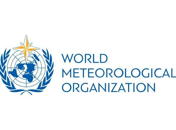 World Metrological organization logo