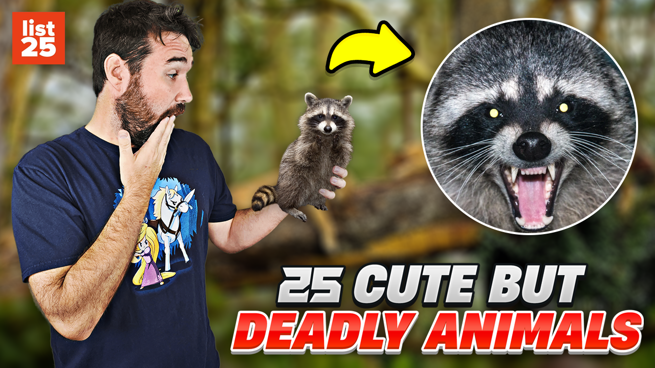 25 Cute But Deadly Animals