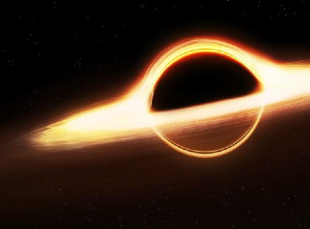 Black Hole Magnetic Field