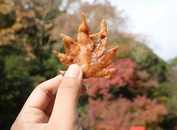 Deep Fried Maple Leaves
